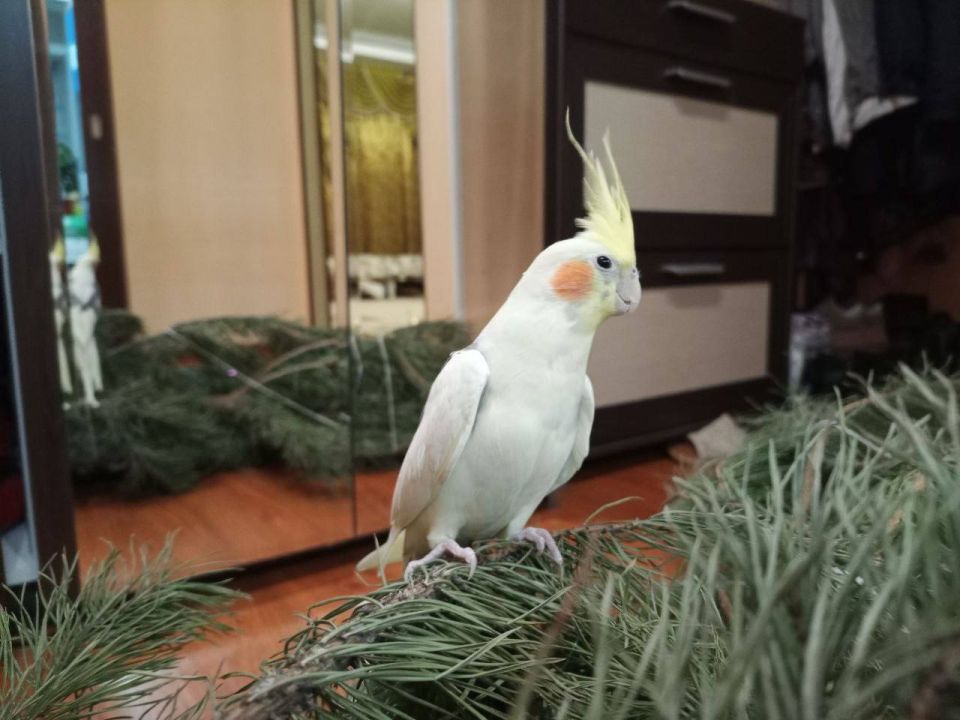 ������� � ��� ������ ������ �������� ���������� ����