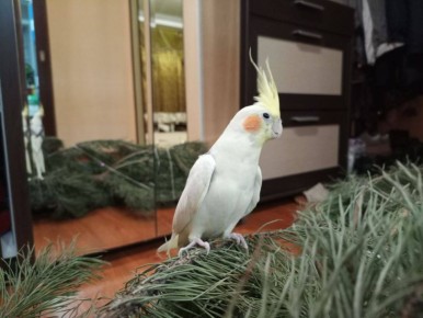 ������� � ��� ������ ������ �������� ���������� ����