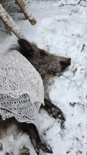 ����� � ������� ��������� ������������� � ����� �����