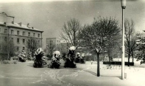 ��������� ������ � ����������� ������, 1972 ���