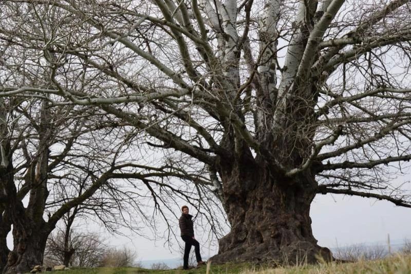 �� ����������� ���� ���� ������, �����?