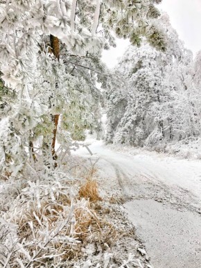 ������ ������ �� ������. ������ ��������� �� ��� ����������� �������! : @artemmeletov ��������� �� @kpstav | ������ ��� � MAX