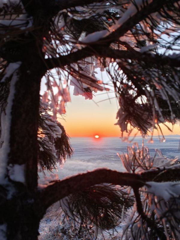 ������� �� ������. 101shag - ��������� ���������� ��������� �� ��� � MAX