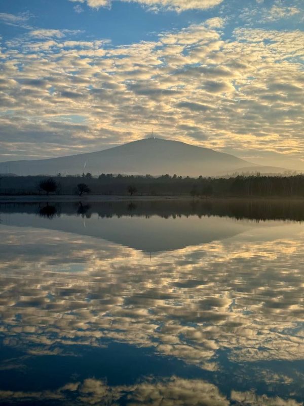 ����� ������ � ����������. �������� ���� ������� ��������� �� ��� � MAX