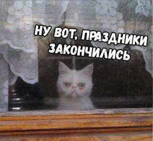 ������������, ��������� ����������� ��� ���: ������ �� ������