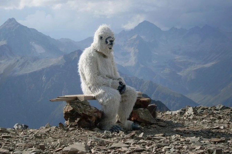 Грудь до пояса, плохо пахнет, но помогает по хозяйству