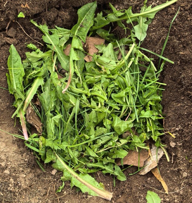 ��� ��������� ������� ������ ������� ��� ��������� ������?