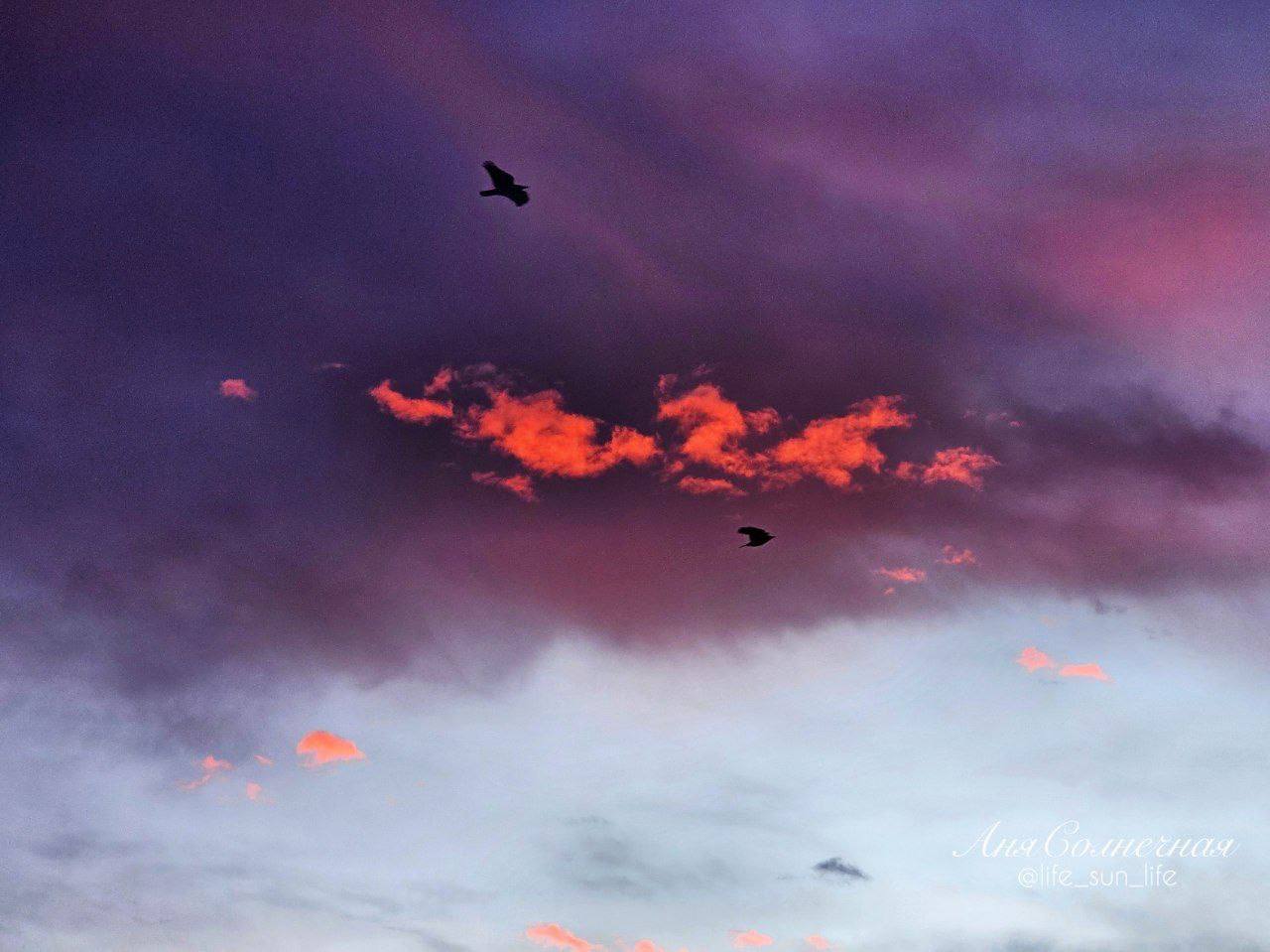 Доброе-бодрое январское утро на Кавминводах