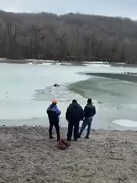 � �������� ������ ����, �������� � ���