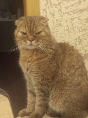 ������ ��� ������ ������� �������� ��� ����� ����������