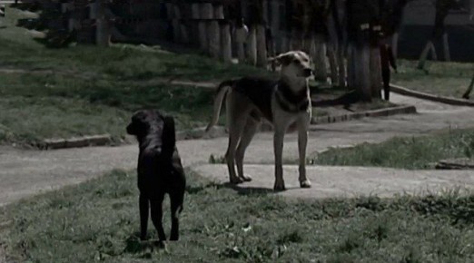 �� ����������� ������ �������� �������-��������