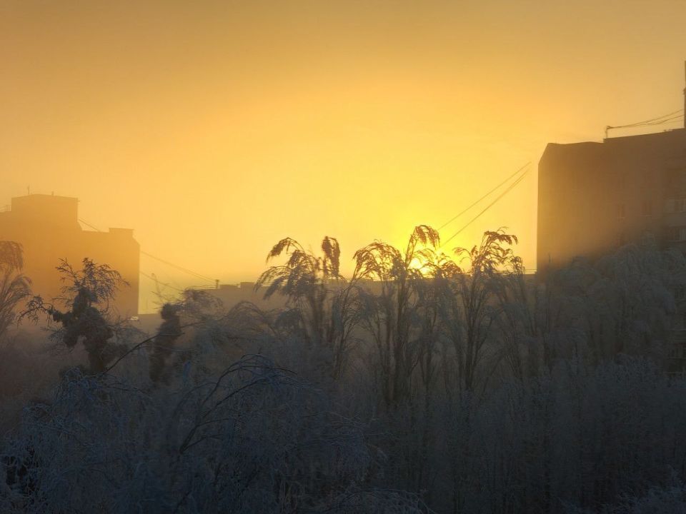 ����� �������� ����� � ����������