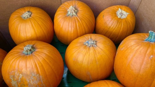 �� ������� � �� ������: ��� ��� ������ �� ���� �� ����� ����������� �������