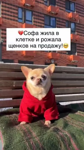 ��� ����� � ��������� �������� ������ ��� ������� � ������ ����������� � �������� ������