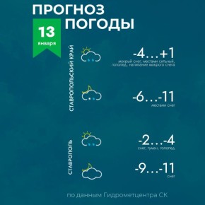 ������ �� ����������� 13 ������