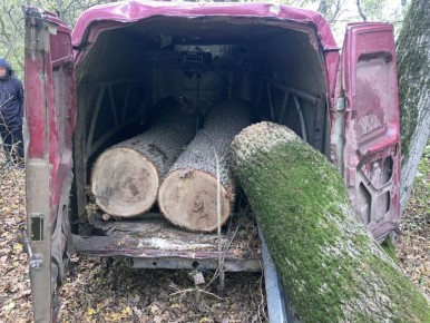 �� ����������� ���������� ��������� ���� �� ����� ���������� ����� ���� � ������� ����� 2,5 ��� ������