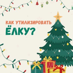 Как правильно утилизировать ёлку?
