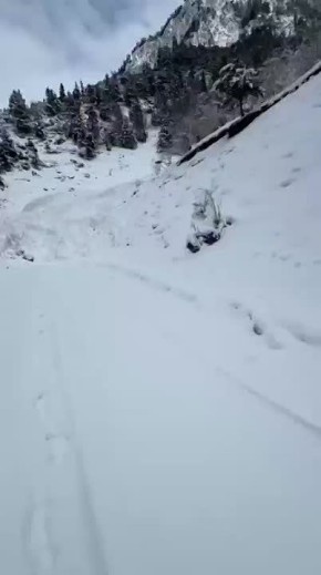 ������ ����� � ���������� ������ ���������