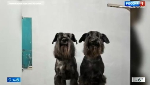 ������ ����������� �������� ����� � ������� �������� �����, ����� � ��������