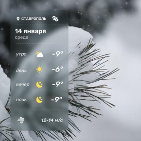Погода в Ставрополе 14 января