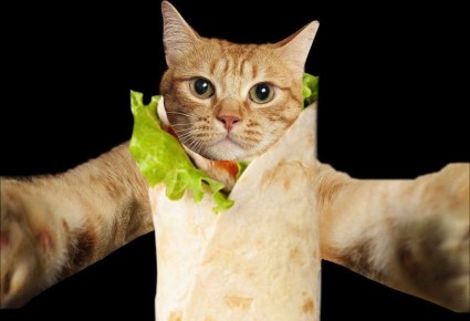 ������� ���������� ���� ������!