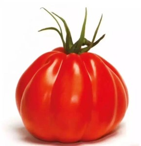 ����� �������: ��������� ����� ��� �������� � ���������