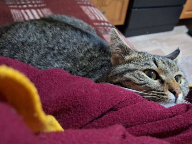 ����� ���� � ��� ������� ����� ������������� � ��������