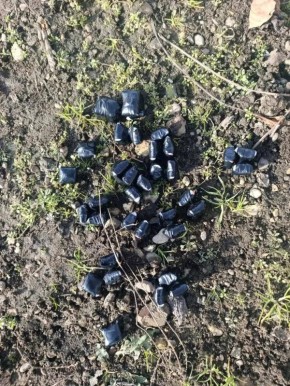 ���������� � ������� ������� ���������� ��������� � ����������