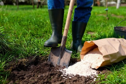 ������ �������� ������: ��� ������ �� ����� ����� �������� ���� �����