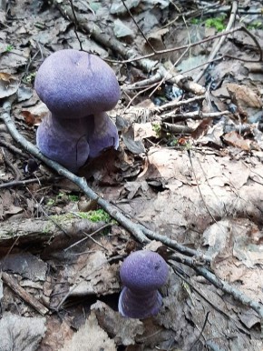 ���������� �����: ��������� ������ �������