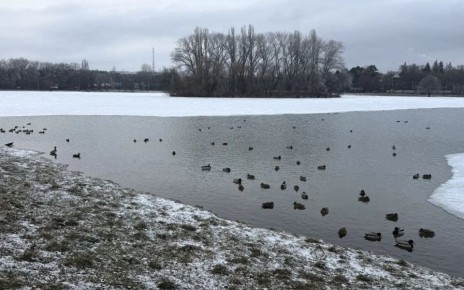 � ����� ������� � ������ �� �����������: ��������� �������� ���������� �����