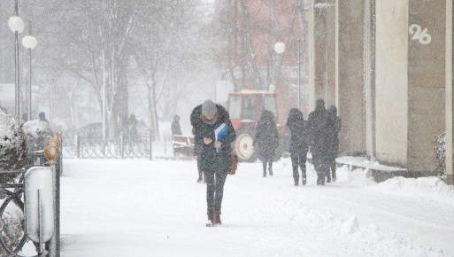 ������ �� ����������� ����������� �� ����� ������