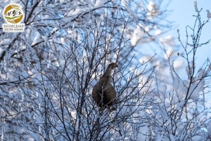 ����������, ������ �������������� �������� ���������������� � �������� ������!