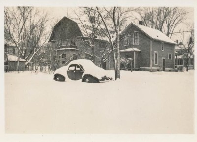 Толстый снег и его противостояние грызунам: мифы и реальность