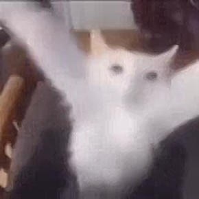 ������� ���������� ���� �������