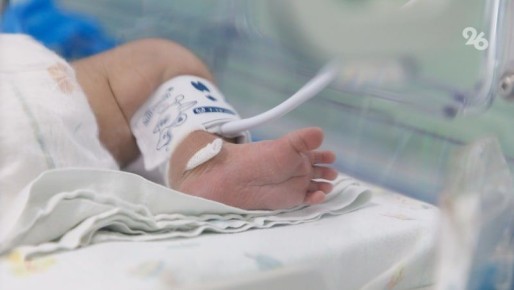 ����� 73% ������ �� ����������� ������ ������ ����� ����� 25 ���