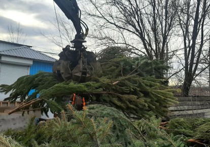 ���� ���� ����� �������� ������!