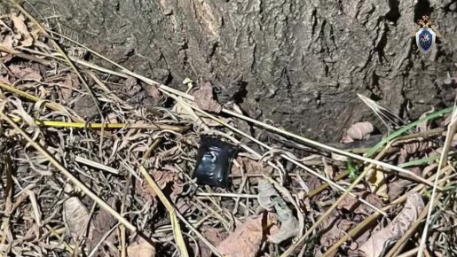 � ���������� ������ ������� ������� ���������� � 37 �������� ��������� �� ���� ������������� �������