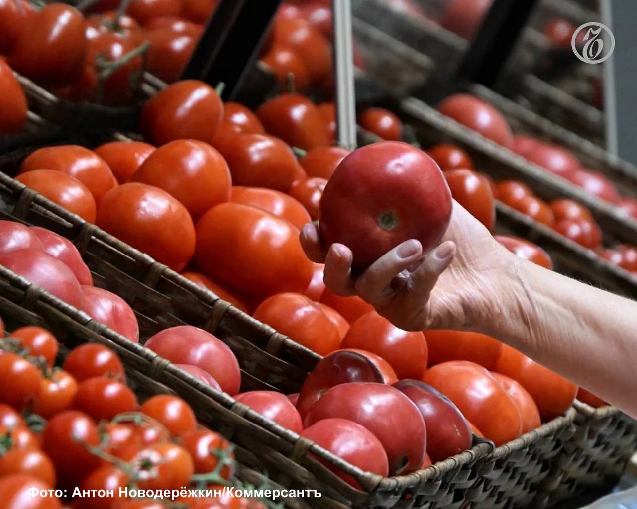 Северо-Кавказстат зафиксировал резкий рост цен на свежие помидоры в Ставропольском крае