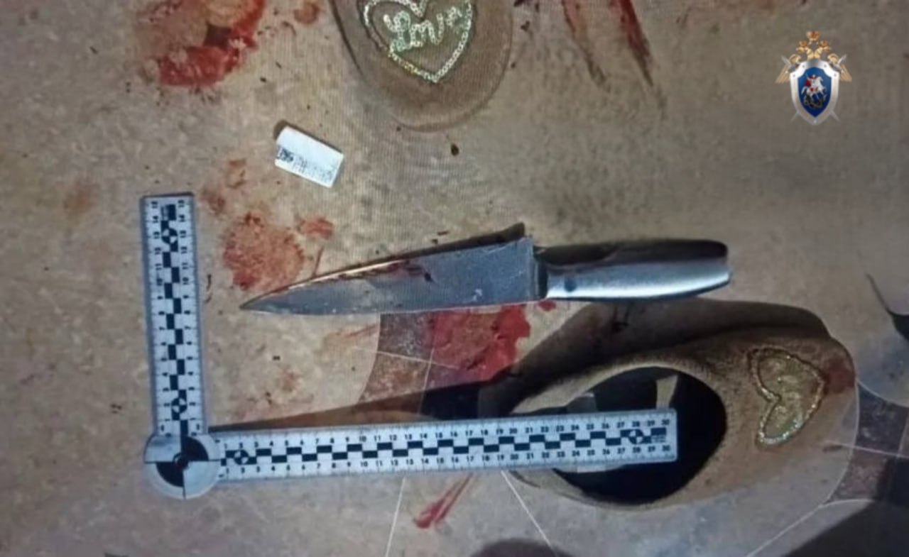 В Новоалександровском округе мужчина обвиняется в убийстве знакомого В Новоалександровском округе мужчина обвиняется в убийстве знакомого