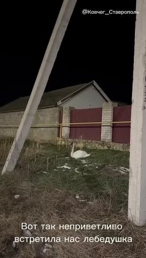 ��� ����� ������� ������ � ���� �������