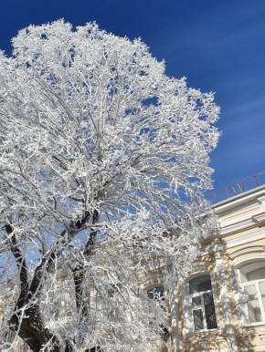 Ставрополь. АТВмедиа Подпишись на нас в MAX