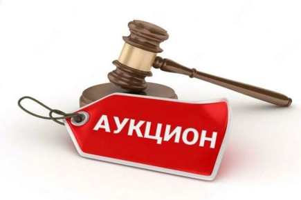 Национализированное имущество выставят на продажу: новый этап перепродаж