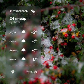 Погода в Ставрополе 24 января