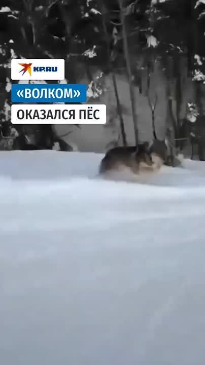 ��� ����� ���� ������� ������ ����� �� ������������� � ������