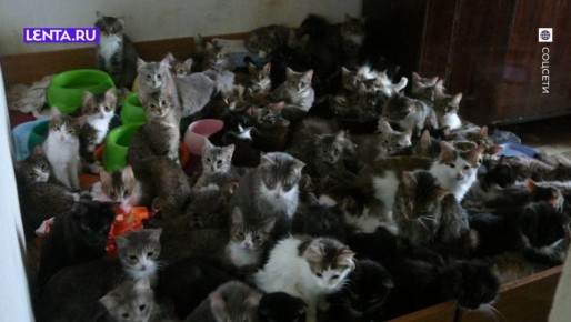 � ������ ����� ������ ����������� �� ���������� �������� �������� � ���������