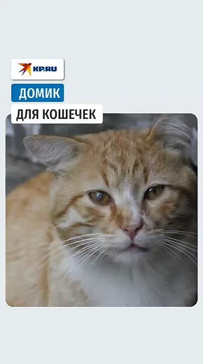 ������ �� ���������. � ��������� ������������� ������� ������ ��������� ������ ������ ��� ��������� �����