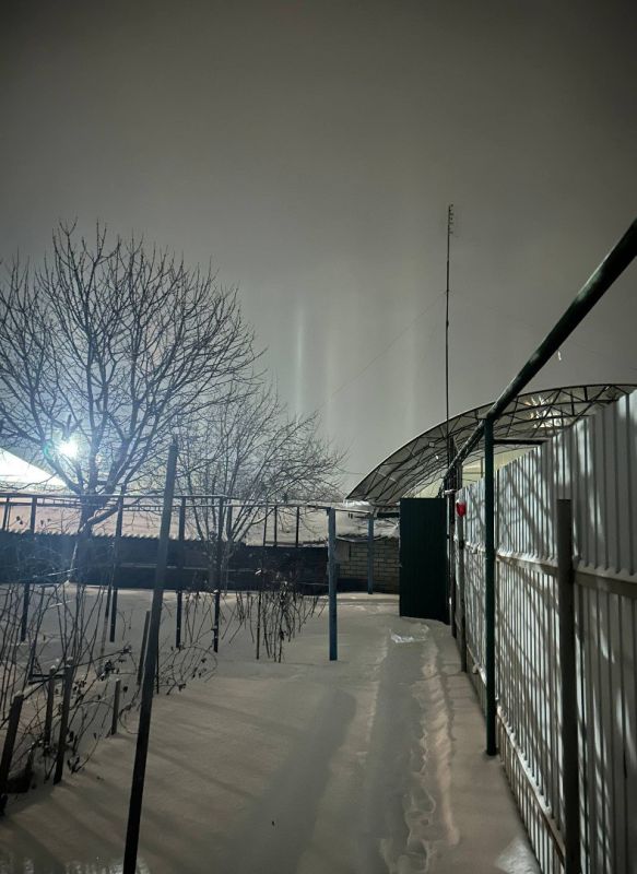 �������� ������ �������� �� �����������