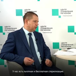 ��� �������� �������� � ���������� ������������ �������� �� �����������?