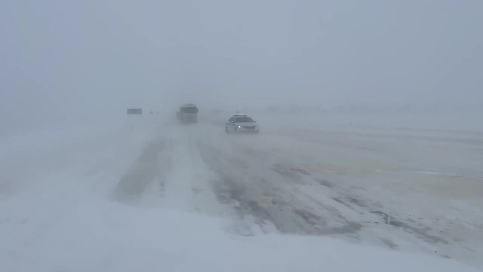 �������� �� ����������: "����������-�����������-����������" ������� �������